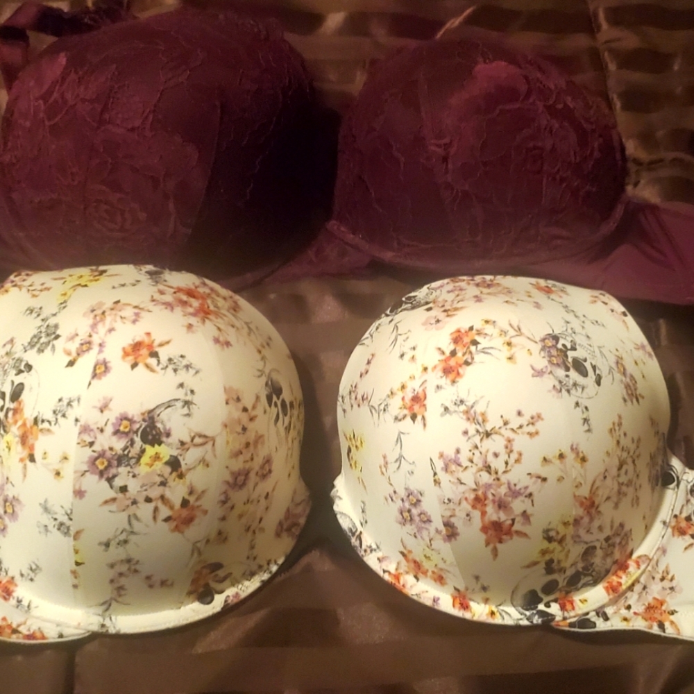(2) TORRID BRAS